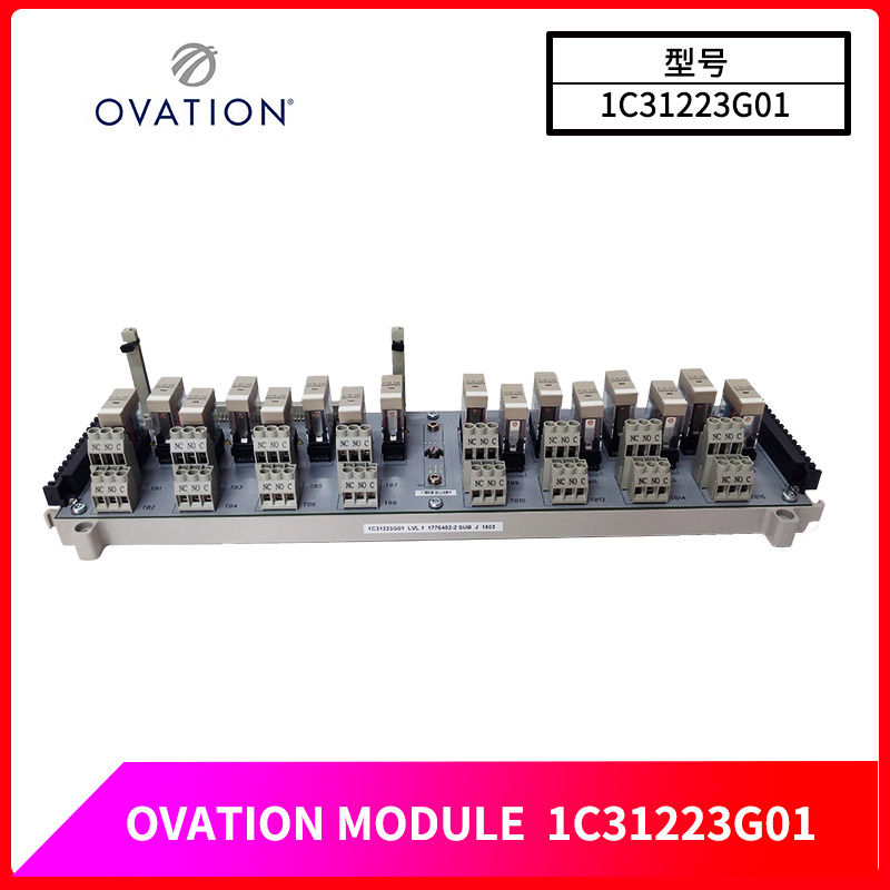 OVATION-1C31223G01