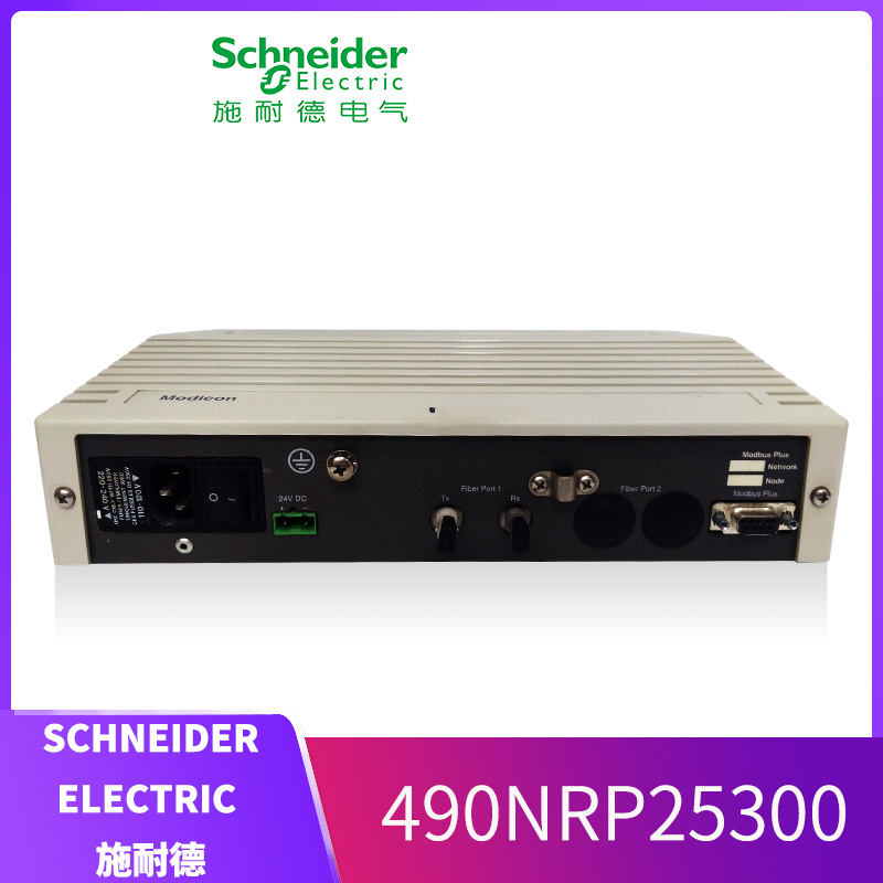 490NRP25300 SCHNEIDER