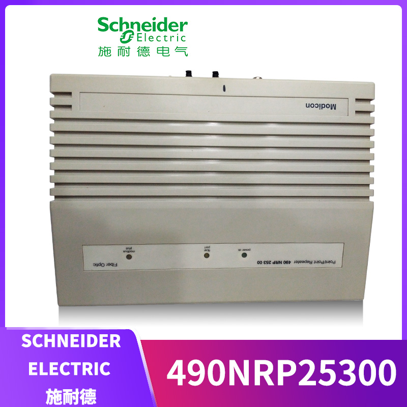 490NRP25300 SCHNEIDER