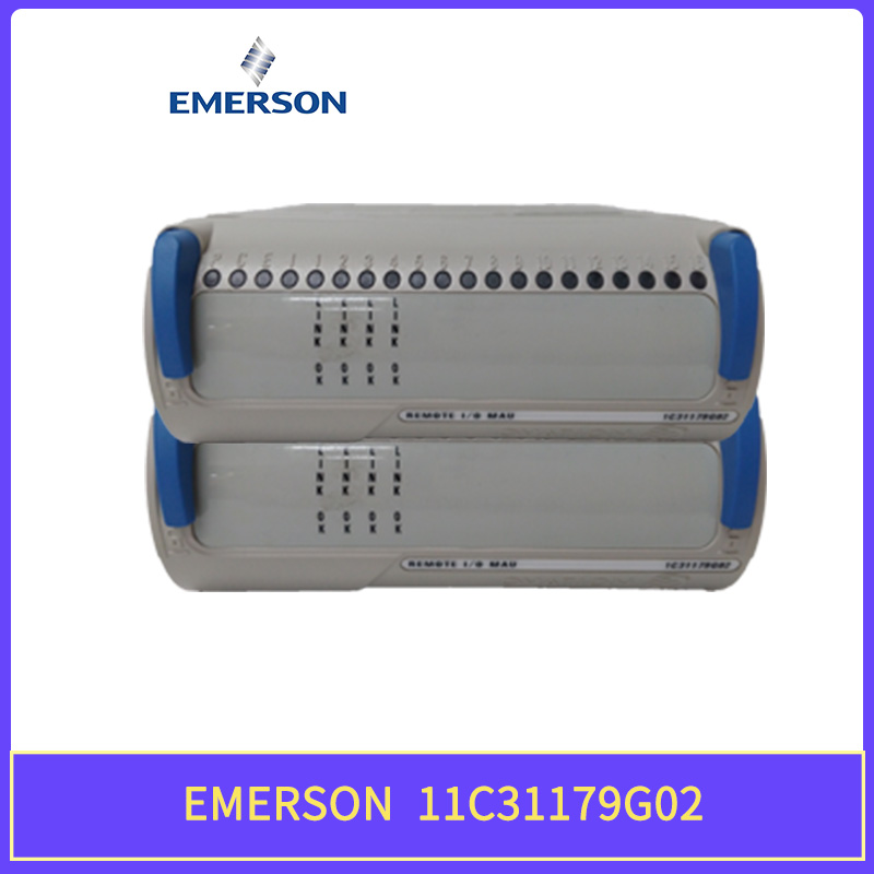 1C31179G02 EMERSON