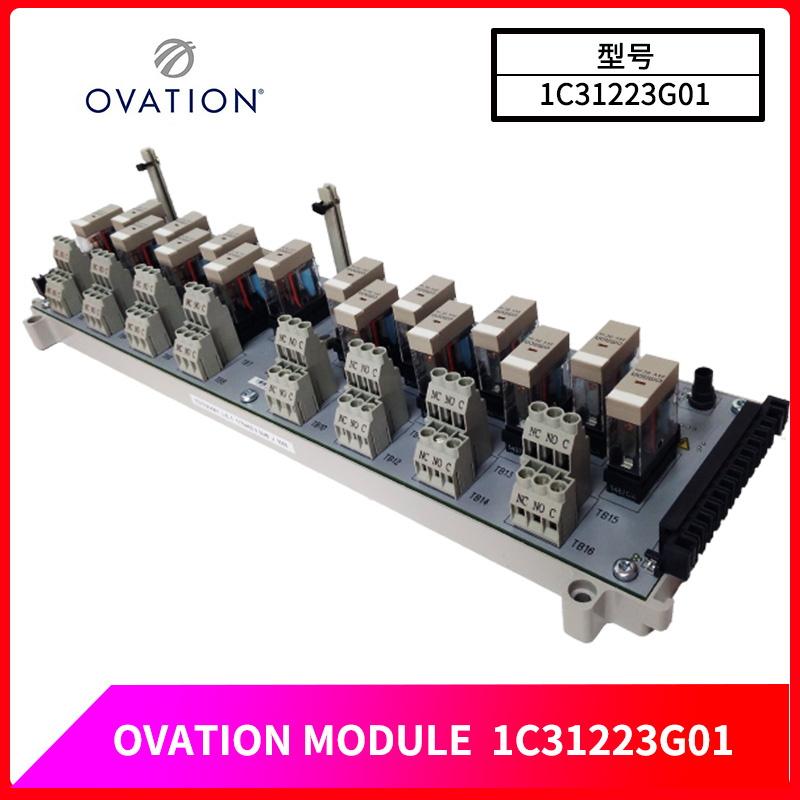 OVATION-1C31223G01