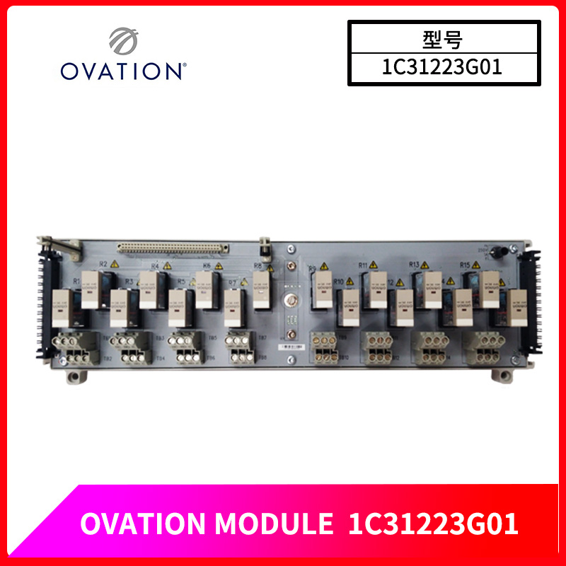 OVATION-1C31223G01